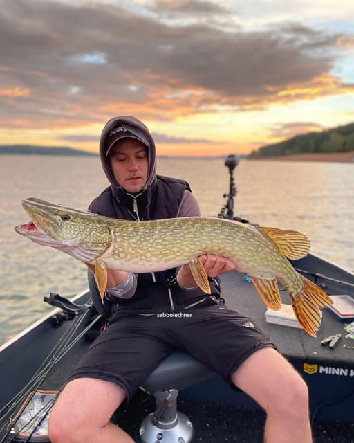 Schöner Fang, Raubfische direkt aus dem Brombachsee